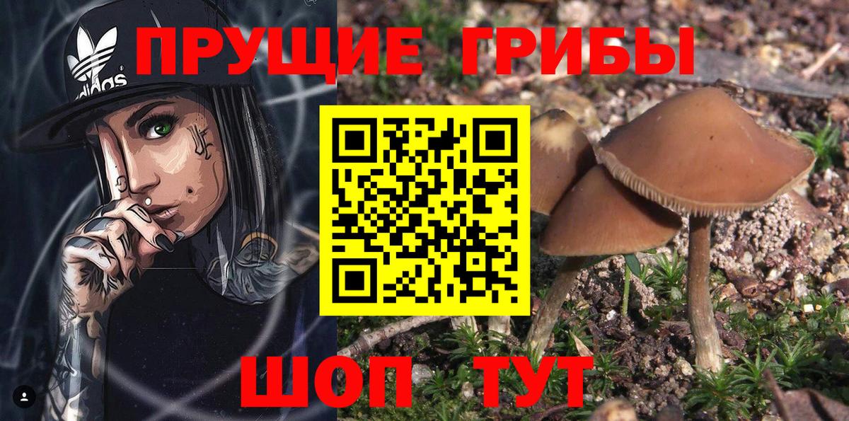Галлюциногенные грибы GOLDEN TEACHER  Вход с VPN  Коммунар 